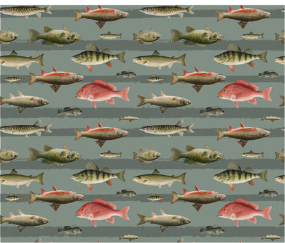 Short Niño Fish